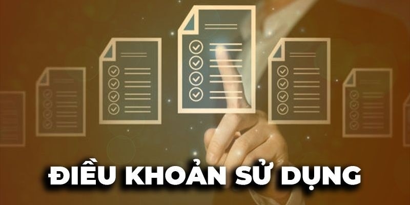 dieu-khoan-su-dung-doi-net-ve-dieu-khoan-tai-trang-web-vebotv